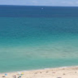 Meet your Posher, Adrian